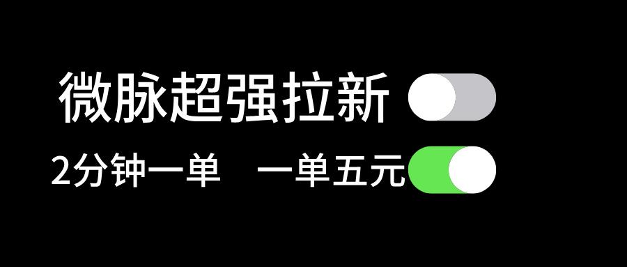 微脉超强拉新， 两分钟1单， 一单利润5块，适合小白-闲赋网