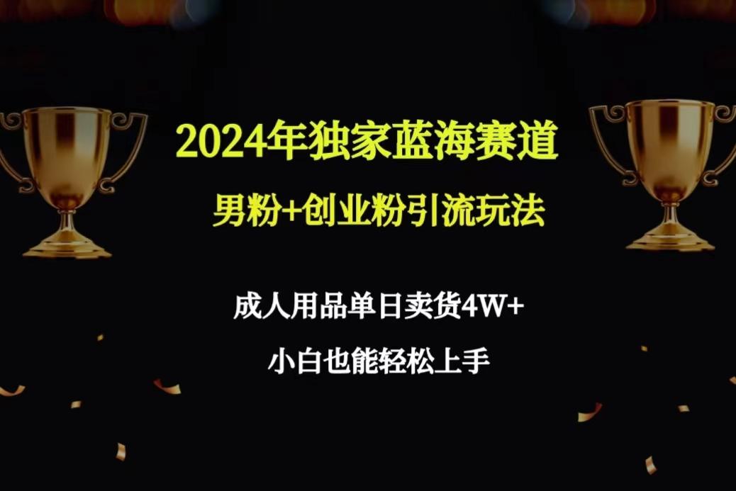 2024年独家蓝海赛道男粉+创业粉引流玩法，成人用品单日卖货4W+保姆教程-闲赋网