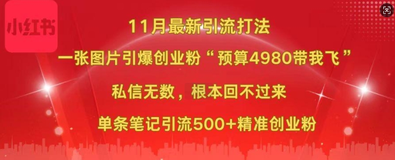 小红书11月最新图片打粉，一张图片引爆创业粉，“预算4980带我飞”，单条引流500+精准创业粉-闲赋网