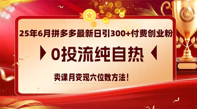 25年6月拼多多最新日引300+付费创业粉，0投流纯自热 卖课月变现六位数方法-闲赋网