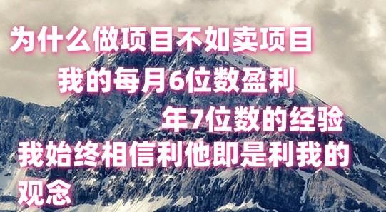 做项目不如卖项目，每月6位数盈利，年7位数经验-闲赋网