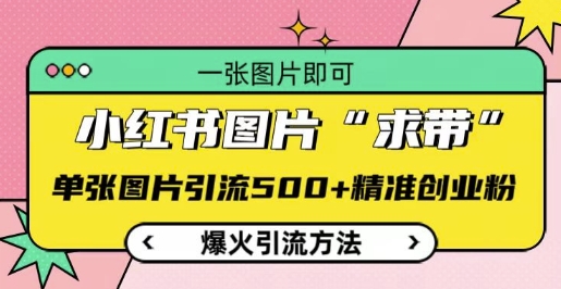 小红书图片‘求带’爆火引流法，单张图片引流500+精准创业粉【揭秘】-闲赋网