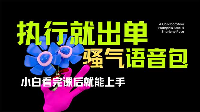 爆火全网的开车导航骚气语音包,只要执行就出单，小白看完课程就能实操…-闲赋网