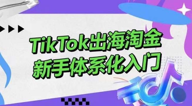 TikTok出海淘金，新手体系化入门，零基础快速入门，掌握短视频、直播带货等引流到变现的知识-闲赋网