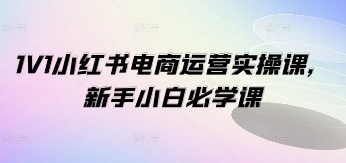 1V1小红书电商运营实操课，新手小白必学课-闲赋网