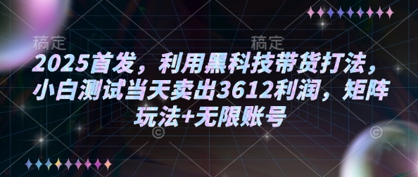 2025首发，利用黑科技带货打法，小白测试当天卖出3612利润，矩阵玩法+无限账号【揭秘】-闲赋网