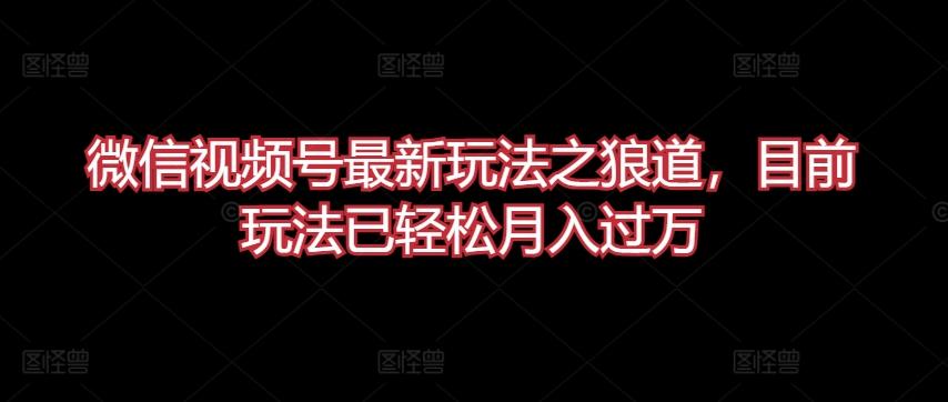 微信视频号最新玩法之狼道，目前玩法已轻松月入过万【揭秘】-闲赋网