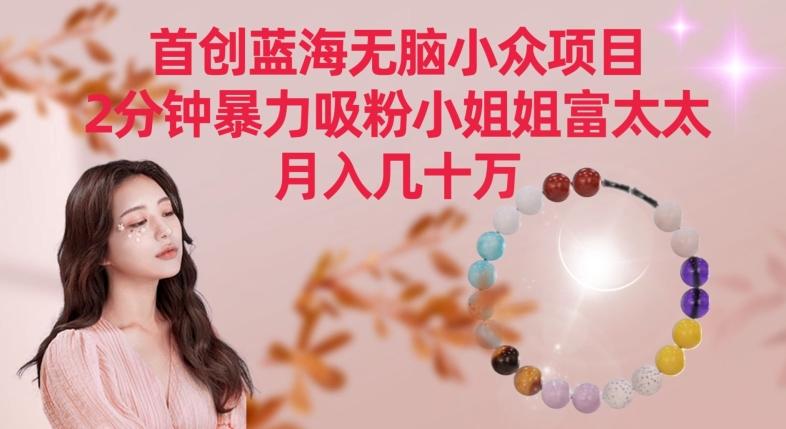 首创蓝海无脑小众项目，2分钟暴力吸粉小姐姐富太太，月入几十万【揭秘】-闲赋网