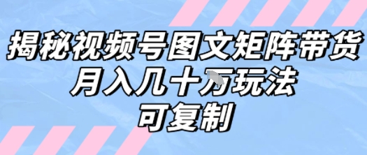 解密视频号图文矩阵带货，月入几个W的打法，可复制-闲赋网