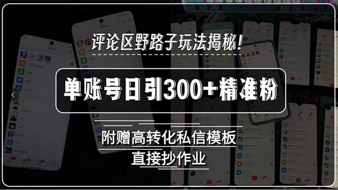 评论区野路子玩法揭秘！单账号日引300+精准粉，附赠高转化私信模板，直…-闲赋网
