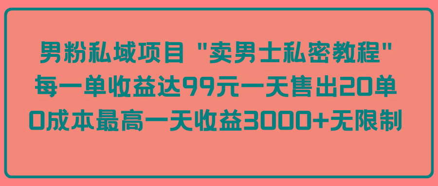 (9730期)男粉私域项目 “卖男士私密教程” 每一单收益达99元一天售出20单-闲赋网