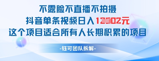 不露脸不直播不拍摄抖音单条视频日入1k+这个项目适合所有人长期积累的项目-闲赋网