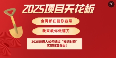 2025项目天花板普通人如何通过知识付费，实现财F自由【揭秘】-闲赋网
