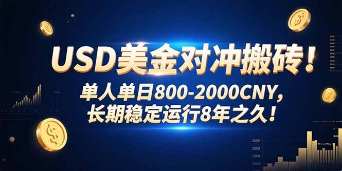 USD美金对冲搬砖!单人单日800-2000CNY，长期稳定运行8年之久!-闲赋网